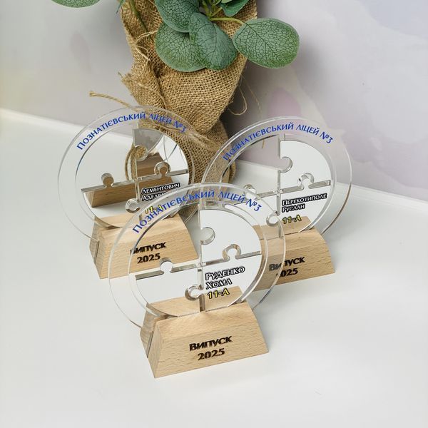 Іменна нагорода &ndash; кубок 🏆 для випускників " Пазлики ". Ніжний подарунок на випускний з індивідуальним дизайном. H199 фото