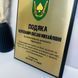 Настінна подяка - диплом з індивідуальним дизайном на металі та дерев'яній основі (плакетці) а4 H306 фото 4