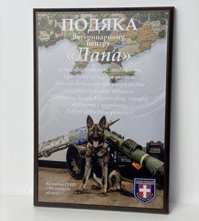 Настенная благодарность - диплом с индивидуальным дизайном на металле и деревянной основе (плакетке) а4 H239 фото